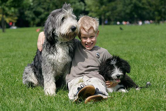 → Gerne mache ich auch Fotoshootings mit Hund und Mensch Gerne mache ich auch Fotoshootings mit Hund und Mensch