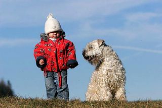 Hund und Baby sollten gewisse Regeln beachten