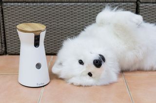 Die kleine, kompakte Hundekamera ist schick und praktikabel