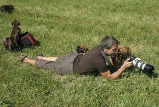 Bei Fotoshootings mit Hunden muss man mit allem rechnen... ;-)