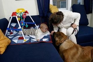 Babys interessieren sich sehr für Hunde