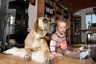 Kleinkinder kommen auch mit großen Hunden gut aus